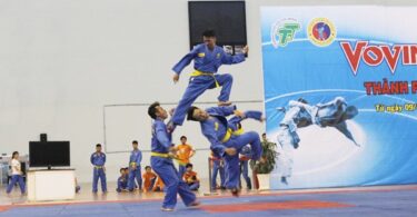 vovinam martial art